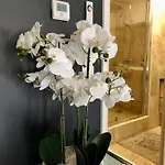 Διαμέρισμα L'atelier De Reves