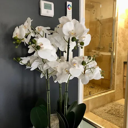 Apartment L'atelier De Reves