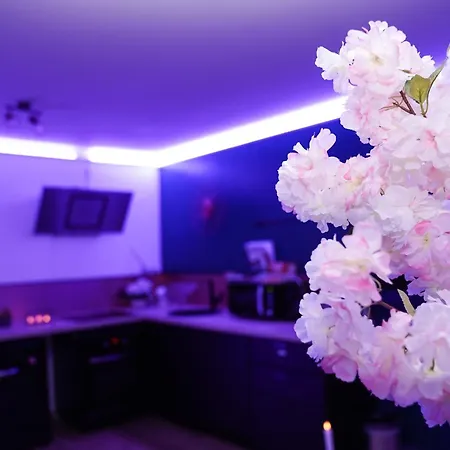 L'atelier De Reves Lejlighed *