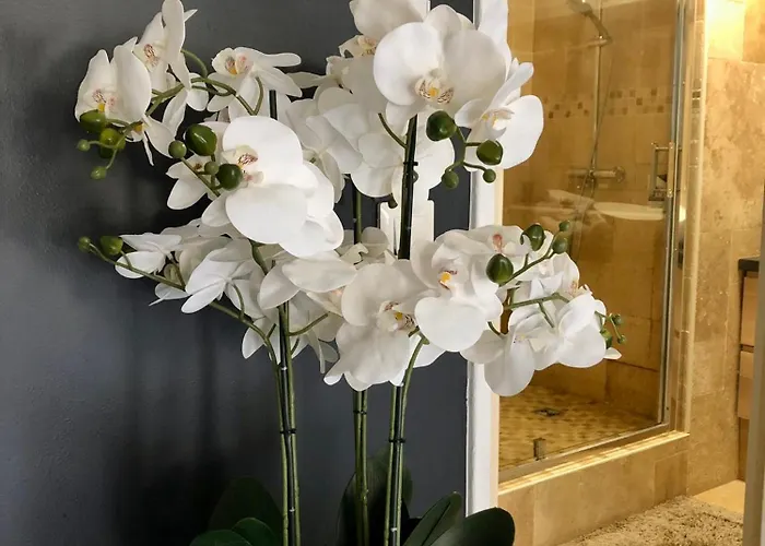 Appartement L'atelier De Rêves